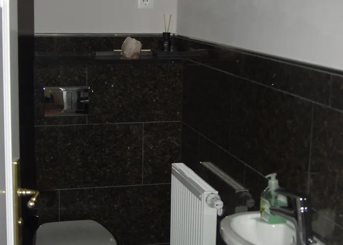 专享盖斯特兹梅尔兰德酒店 3* 朗道因德普法尔茨